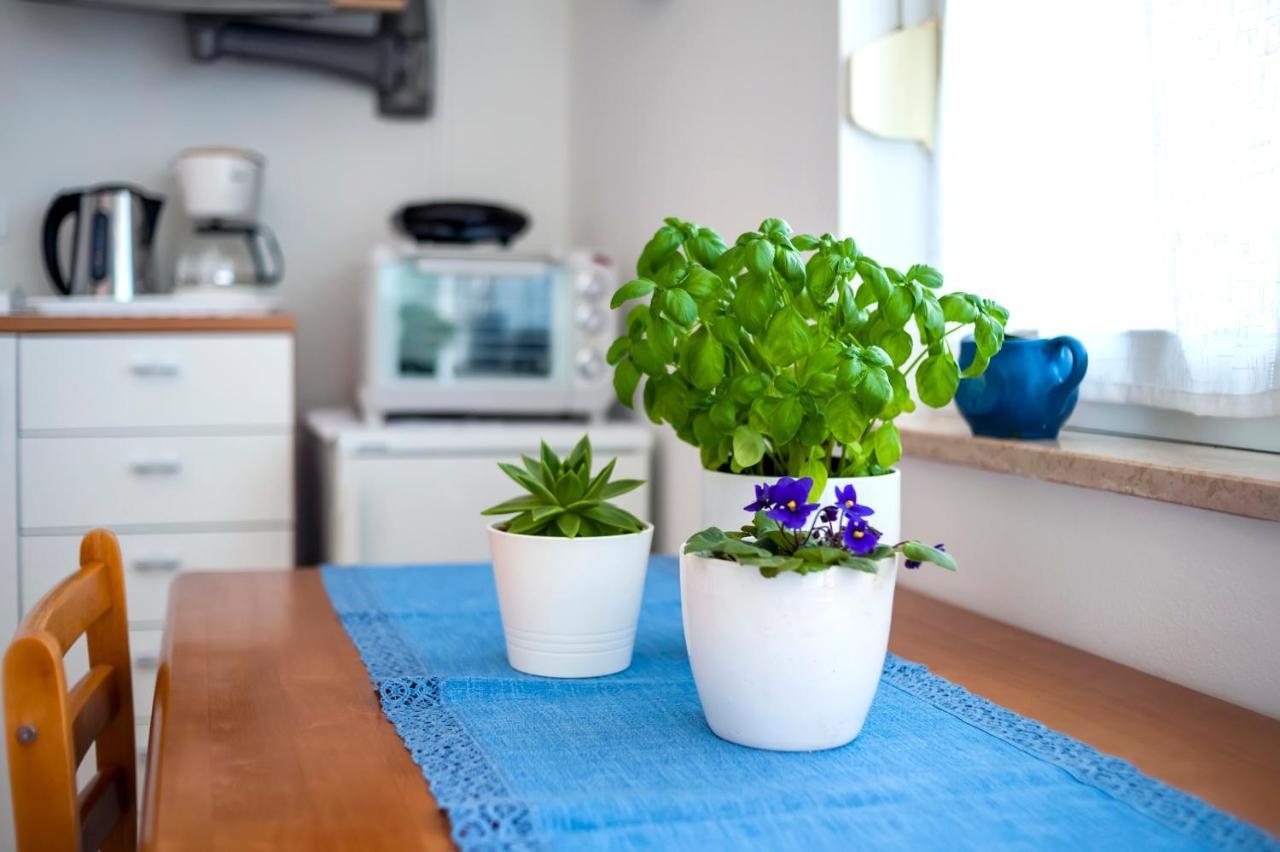 Apartment Casa Banko Ровінь Екстер'єр фото